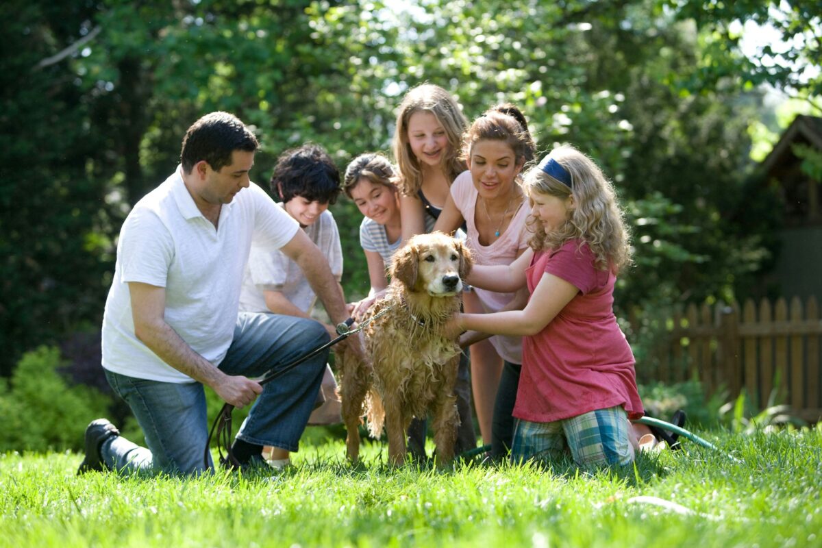 Family Photography